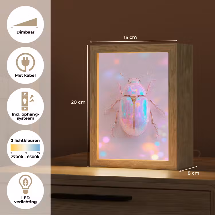 Kever - Metallic - Lichteffect - Roze Light Box met kabel (Tafellamp) klein -USP_NL