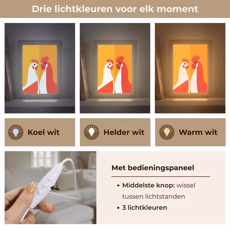 Kippen - Oranje - Vlakken Light Box met kabel (Tafellamp) klein -USP_lichtkleurNL