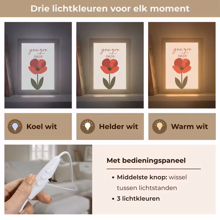 Klaproos - Bloem - Rood - Valentijn Light Box met kabel (Tafellamp) klein -USP_lichtkleurNL