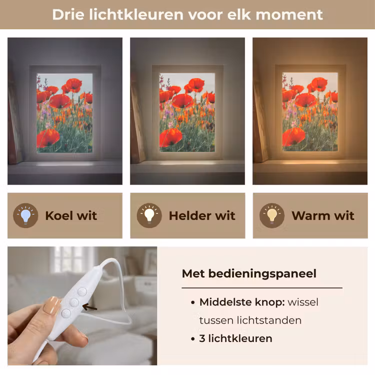 Klaproos - Bloemen - Rood - Paars - Weide Light Box met kabel (Tafellamp) klein -USP_lichtkleurNL