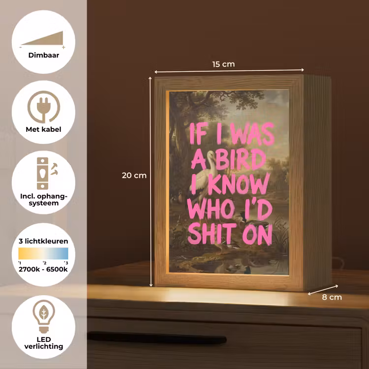 Klassiek - Humor - Roze Light Box met kabel (Tafellamp) klein -USP_NL