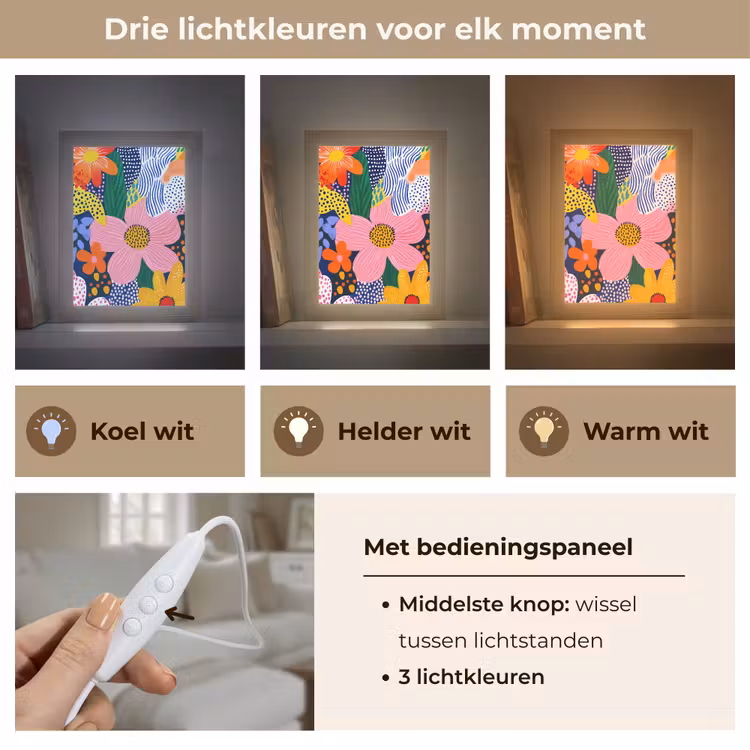 Kleurrijk - Bloemen - Abstract - Stippen Light Box met kabel (Tafellamp) klein -USP_lichtkleurNL