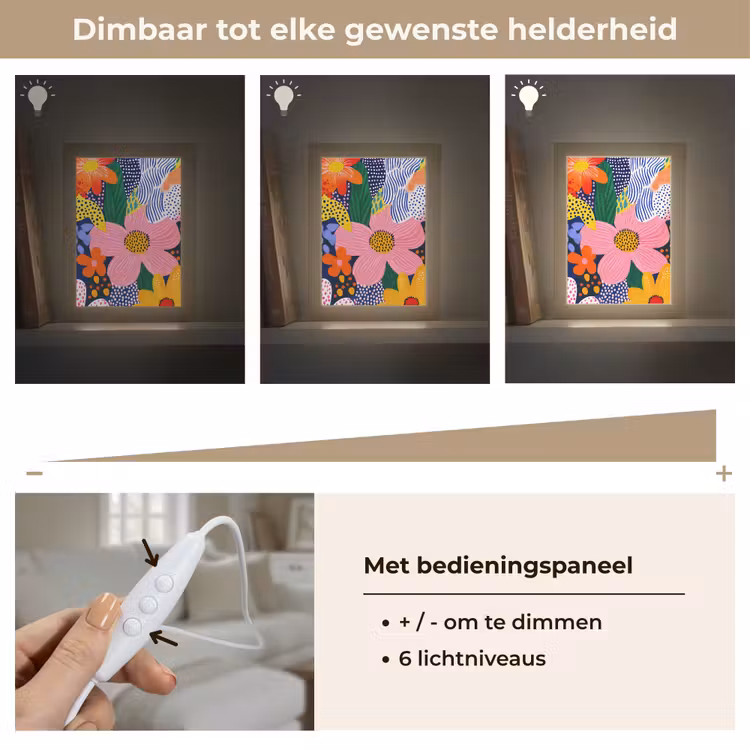 Kleurrijk - Bloemen - Abstract - Stippen Light Box met kabel (Tafellamp) klein -USP_dimbaarNL