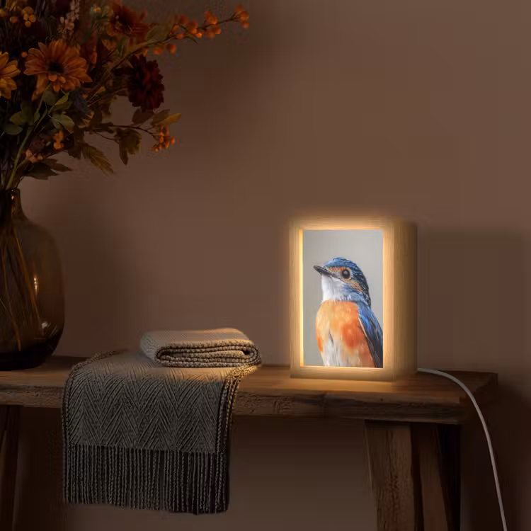 Kleurrijk - Vogeltje - Veren - Blauw Light Box met kabel (Tafellamp) klein -sfeer4
