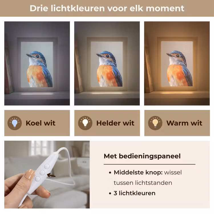 Kleurrijk - Vogeltje - Veren - Blauw Light Box met kabel (Tafellamp) klein -USP_lichtkleurNL