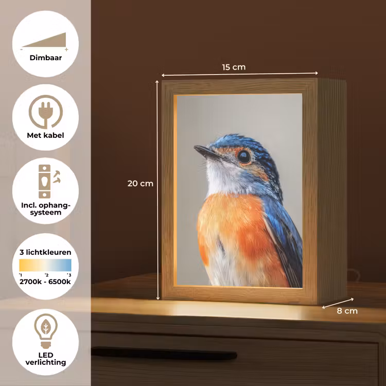 Kleurrijk - Vogeltje - Veren - Blauw Light Box met kabel (Tafellamp) klein -USP_NL