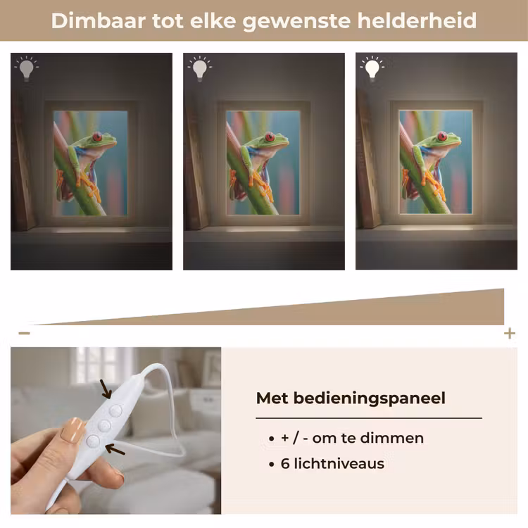 Kleurrijke kikker - Groene stengel - Alert Light Box met kabel (Tafellamp) klein -USP_dimbaarNL