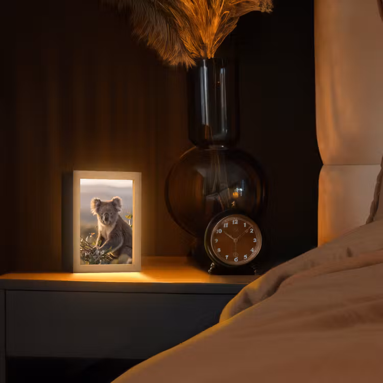 Koala - Bladeren - Ochtendlicht Light Box met kabel (Tafellamp) klein -sfeer1