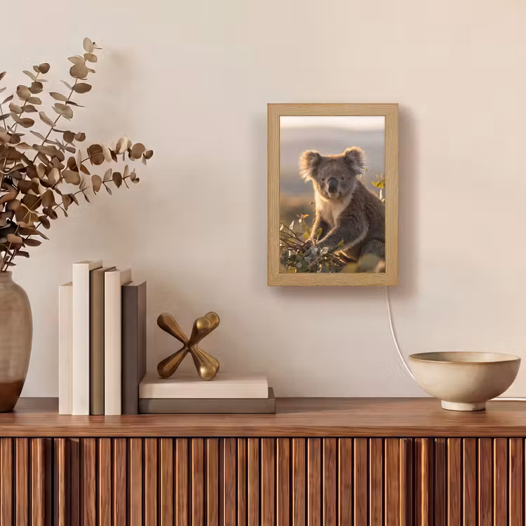 Koala - Bladeren - Ochtendlicht Light Box met kabel (Tafellamp) klein -sfeer2