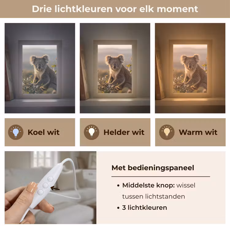 Koala - Bladeren - Ochtendlicht Light Box met kabel (Tafellamp) klein -USP_lichtkleurNL