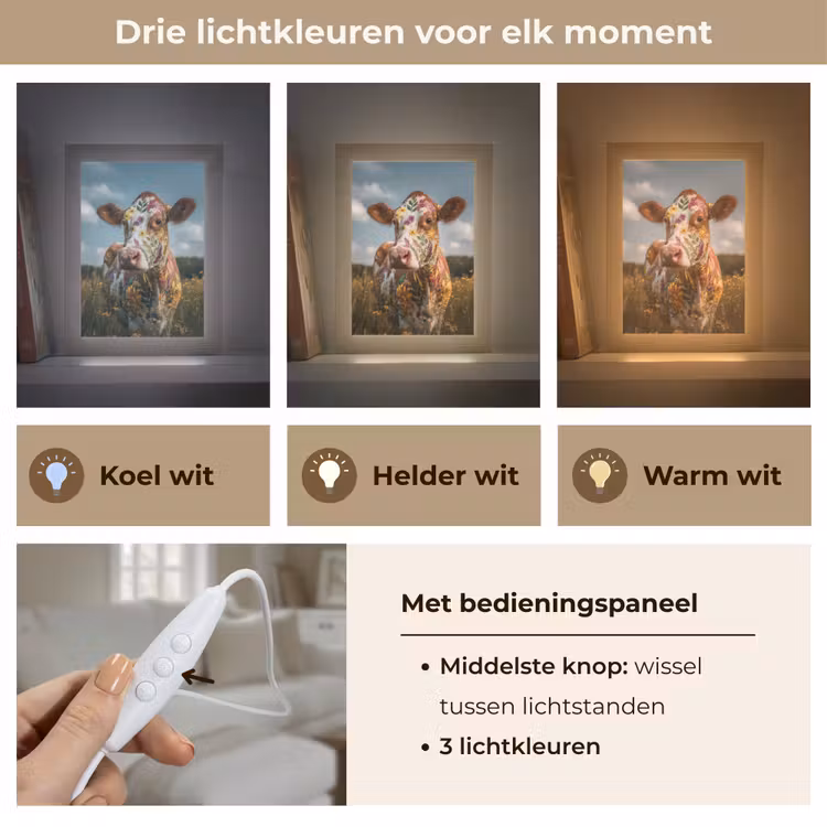 Koe - Bloemen - Weiland Light Box met kabel (Tafellamp) klein -USP_lichtkleurNL