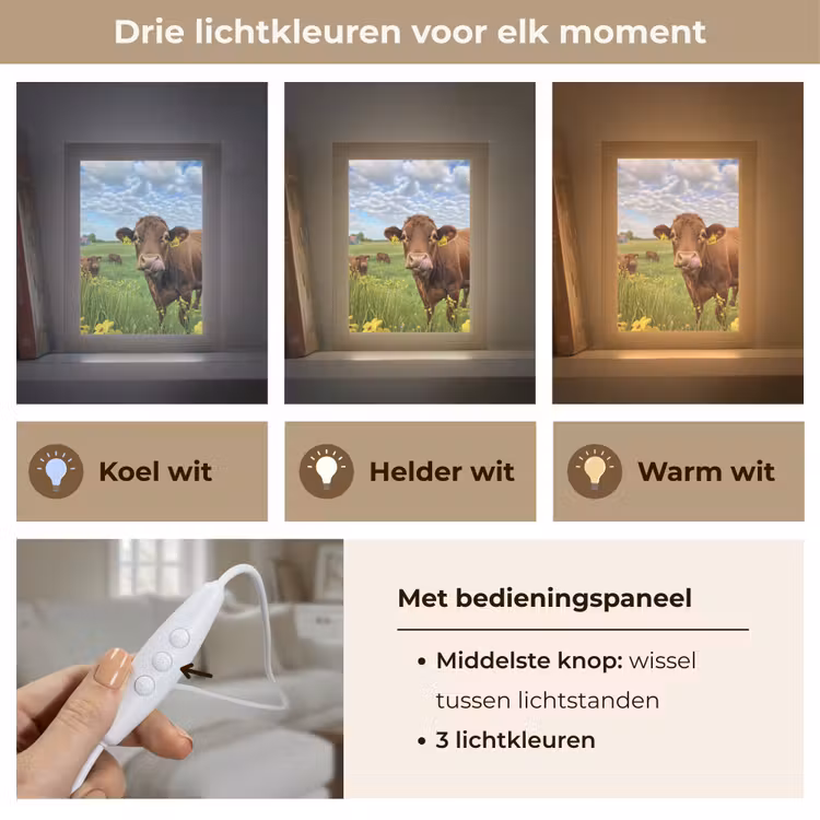 Koe - Weide - Bloemen Light Box met kabel (Tafellamp) klein -USP_lichtkleurNL