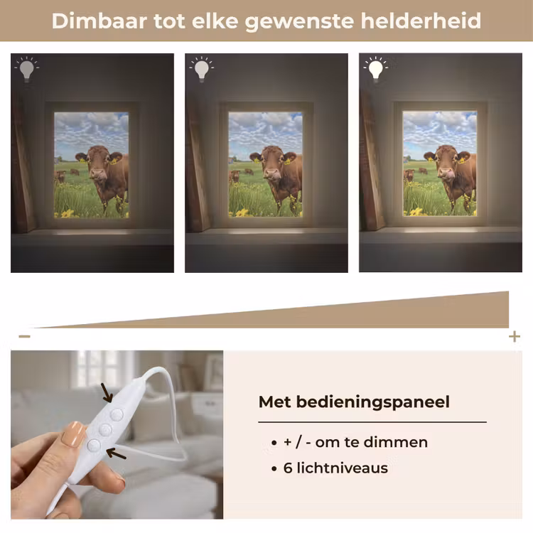 Koe - Weide - Bloemen Light Box met kabel (Tafellamp) klein -USP_dimbaarNL