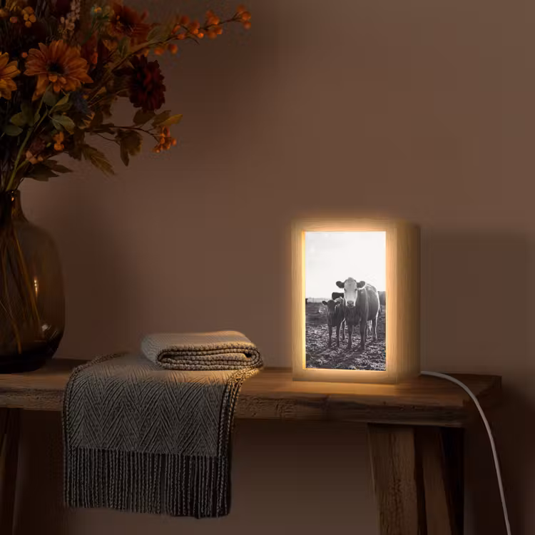 Koeien - Zwart - Wit Light Box met kabel (Tafellamp) klein -sfeer4