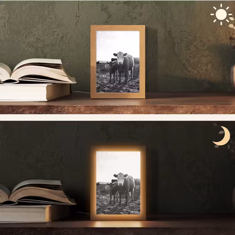 Koeien - Zwart - Wit Light Box met kabel (Tafellamp) klein -sfeer3