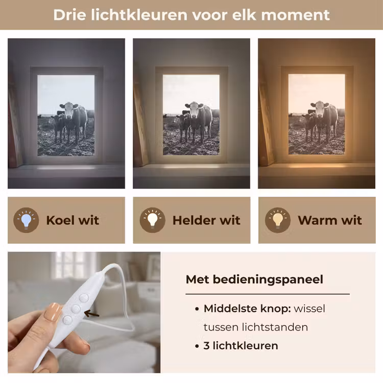 Koeien - Zwart - Wit Light Box met kabel (Tafellamp) klein -USP_lichtkleurNL