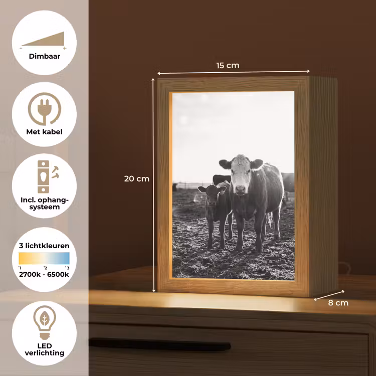 Koeien - Zwart - Wit Light Box met kabel (Tafellamp) klein -USP_NL