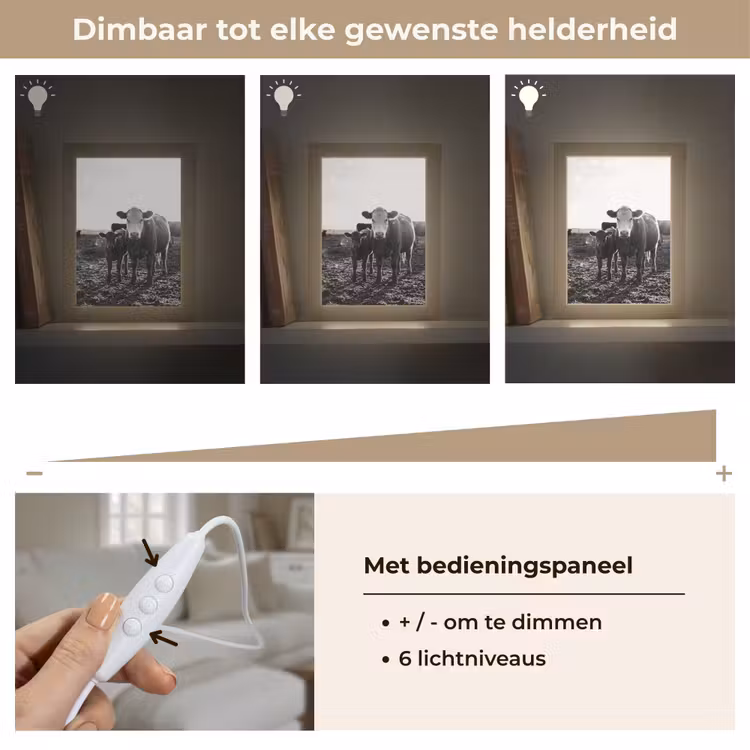 Koeien - Zwart - Wit Light Box met kabel (Tafellamp) klein -USP_dimbaarNL
