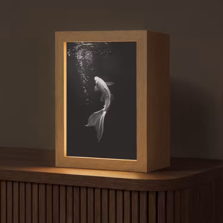 Koi - Vis - Wit - Zwart Light Box met kabel (Tafellamp) klein -z3d_website