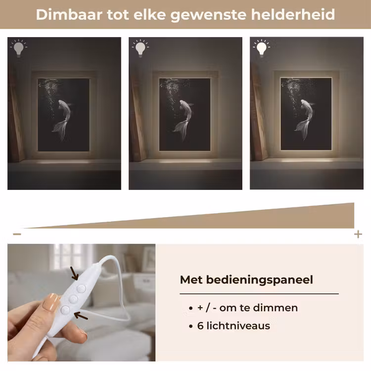 Koi - Vis - Wit - Zwart Light Box met kabel (Tafellamp) klein -USP_dimbaarNL