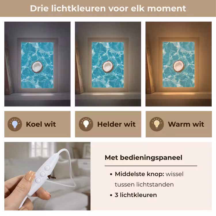 Kokosnoot - Water - Wit Light Box met kabel (Tafellamp) klein -USP_lichtkleurNL