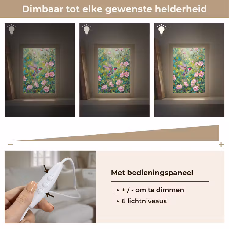 Kolibrie - Bloemen - Natuur - Kleurrijk Light Box met kabel (Tafellamp) klein -USP_dimbaarNL