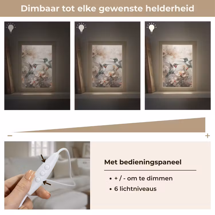 Kolibrie - Vogels - Bloemen - Planten Light Box met kabel (Tafellamp) klein -USP_dimbaarNL