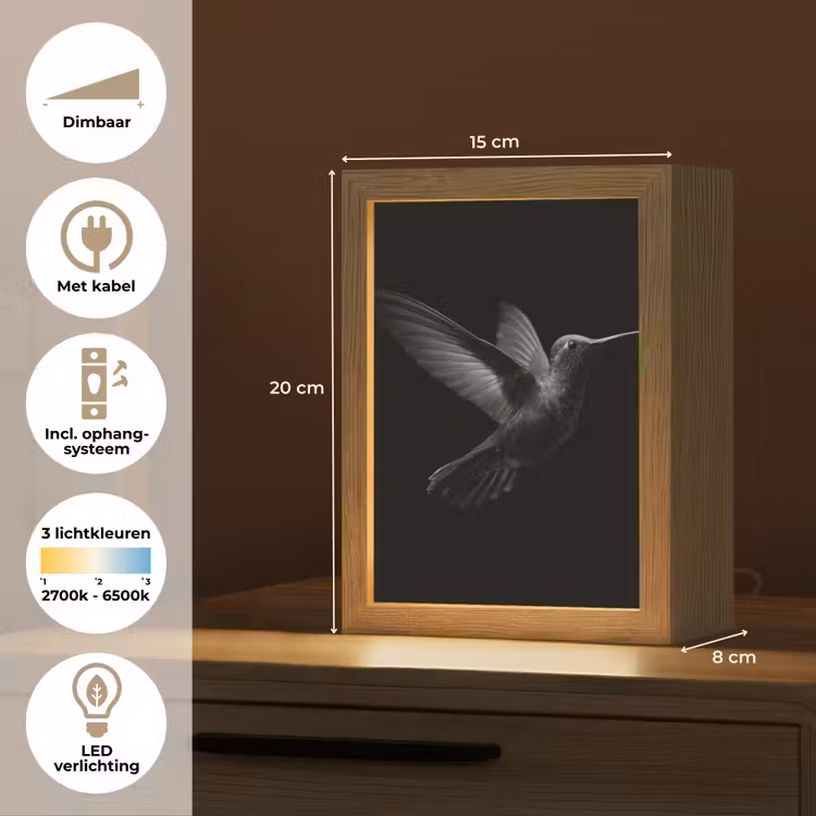 Kolibrie - Zwart - Dieren Light Box met kabel (Tafellamp) klein -USP_NL