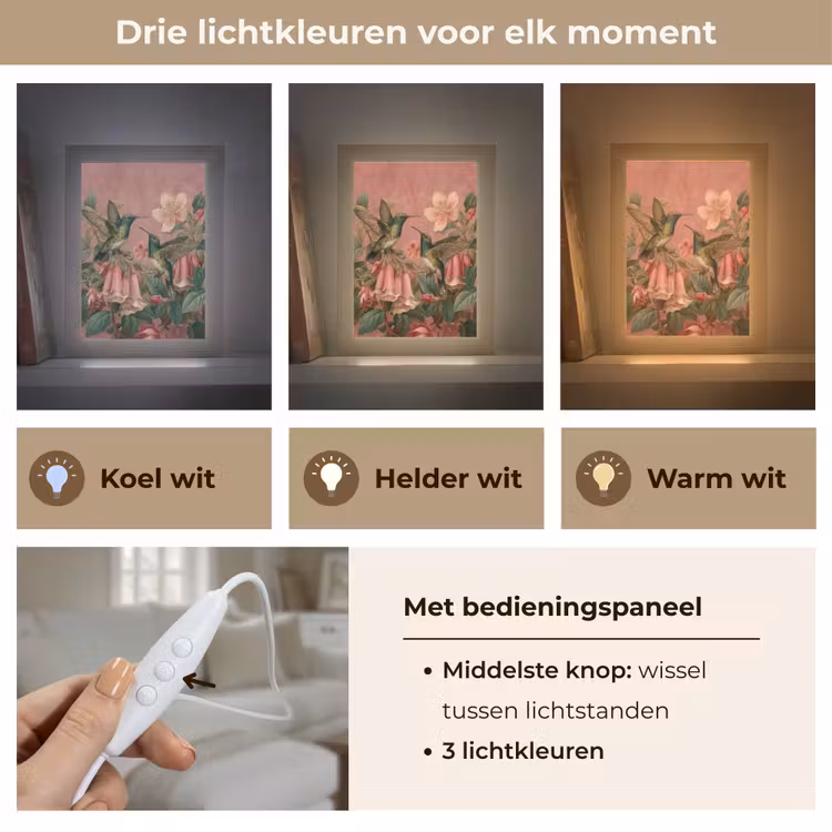 Kolibries - Bloemen - Groen - Roze Light Box met kabel (Tafellamp) klein -USP_lichtkleurNL