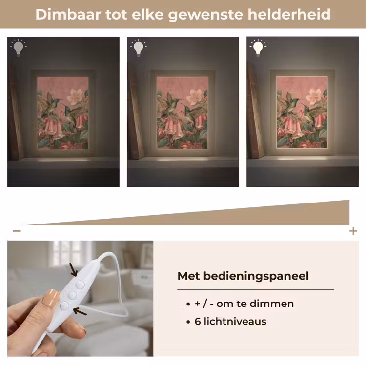 Kolibries - Bloemen - Groen - Roze Light Box met kabel (Tafellamp) klein -USP_dimbaarNL