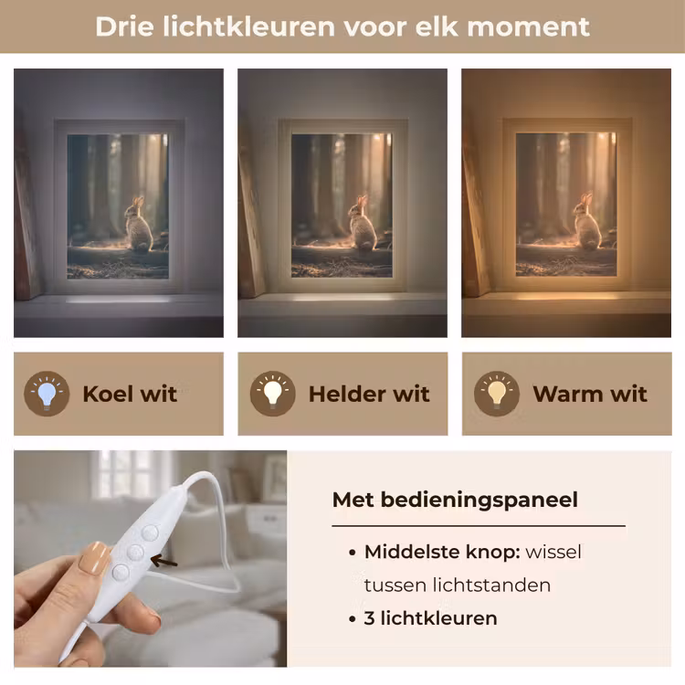 Konijn - Bos - Zonnestralen Light Box met kabel (Tafellamp) klein -USP_lichtkleurNL