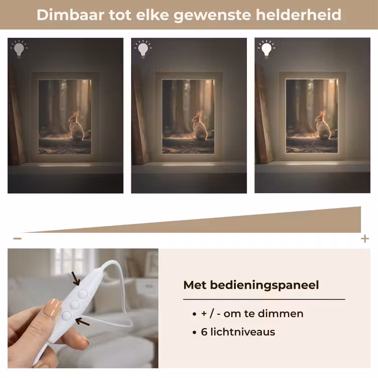 Konijn - Bos - Zonnestralen Light Box met kabel (Tafellamp) klein -USP_dimbaarNL