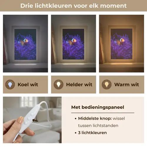 Koraal - Vis - Oranje - Zee Light Box met kabel (Tafellamp) klein -USP_lichtkleurNL