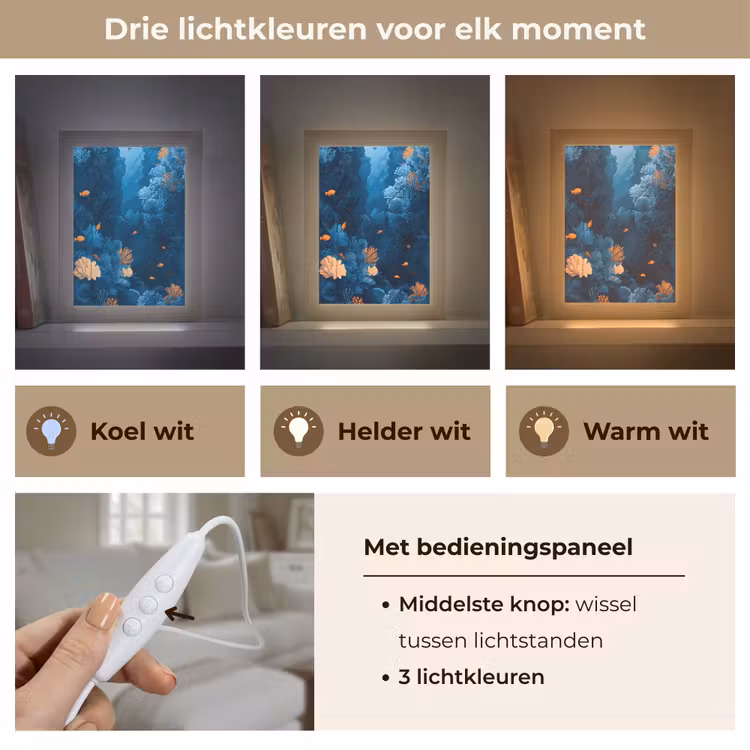 Koraalrif - Vissen - Oceaan - Blauw Light Box met kabel (Tafellamp) klein -USP_lichtkleurNL