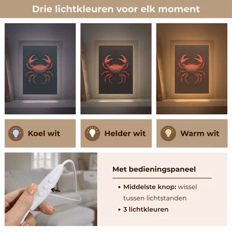 Krab - Rood - Vissen - Schaaldieren Light Box met kabel (Tafellamp) klein -USP_lichtkleurNL