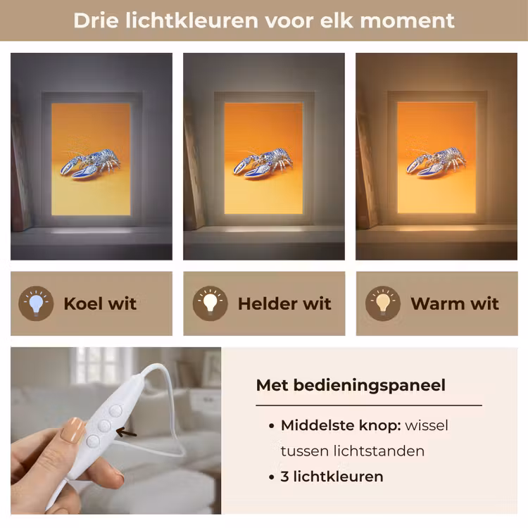 Kreeft - Delftsblauw - Schild - Stoer - Oranje Light Box met kabel (Tafellamp) klein -USP_lichtkleurNL