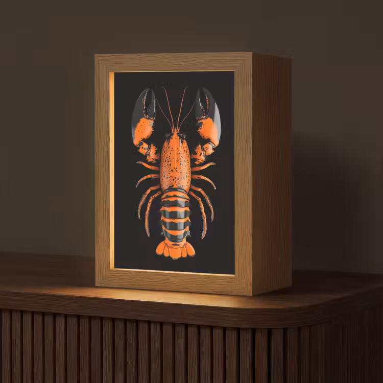 Kreeft - Oranje - Zwart - Modern Light Box met kabel (Tafellamp) klein -z3d_website