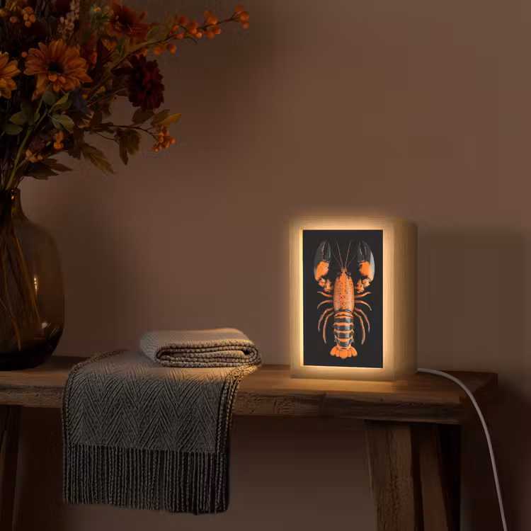 Kreeft - Oranje - Zwart - Modern Light Box met kabel (Tafellamp) klein -sfeer4