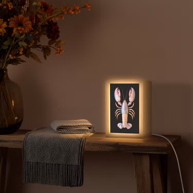 Kreeft - Roze - Zacht - Zwart Light Box met kabel (Tafellamp) klein -sfeer4