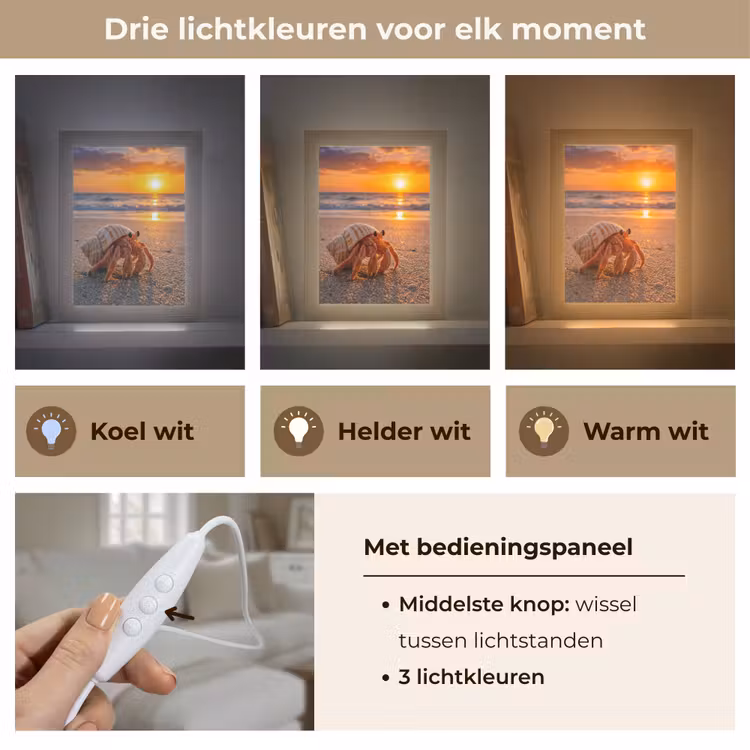 Kreeft - Strand - Natuur - Zonsondergang - Oranje Light Box met kabel (Tafellamp) klein -USP_lichtkleurNL