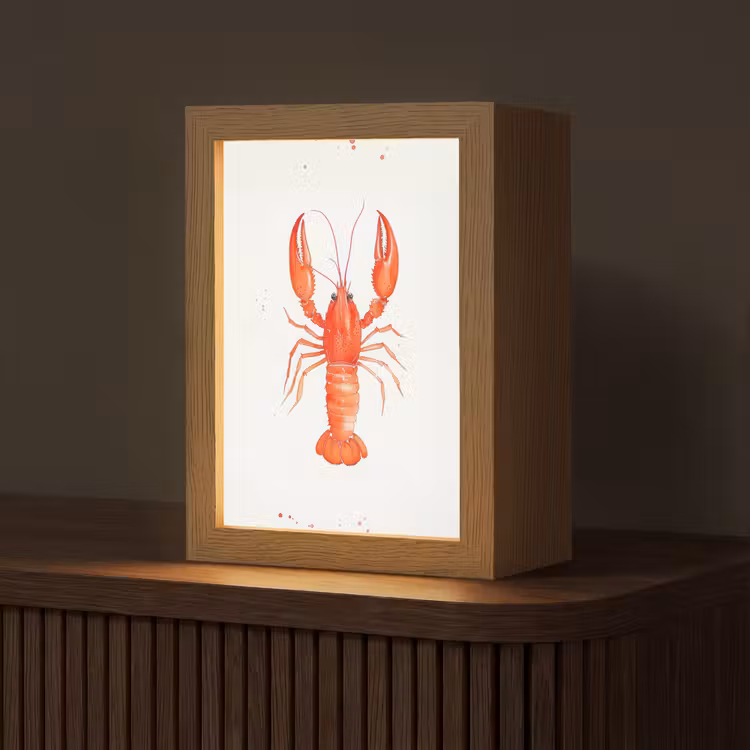 Kreeft - Waterverf - Aquarel - Oranje Light Box met kabel (Tafellamp) klein -z3d_website