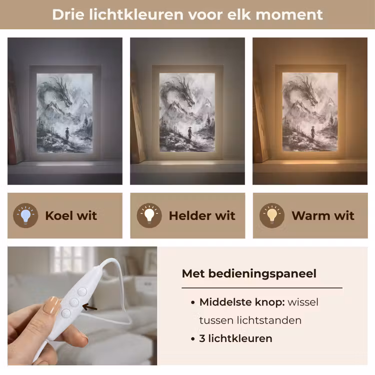 Krijger - Draak - Grijs Light Box met kabel (Tafellamp) klein -USP_lichtkleurNL