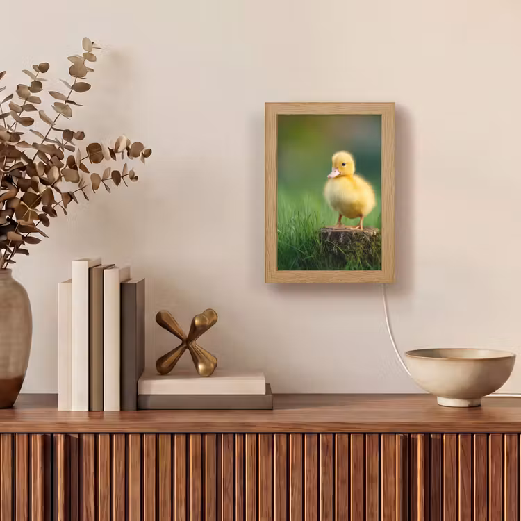 Kuiken - Eend - Geel - Gras Light Box met kabel (Tafellamp) klein -sfeer2