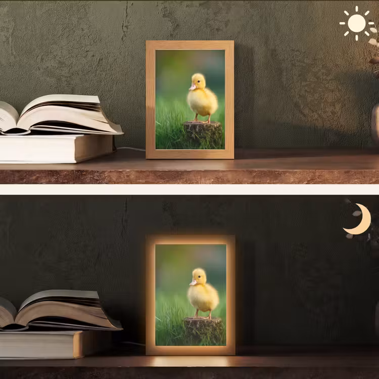 Kuiken - Eend - Geel - Gras Light Box met kabel (Tafellamp) klein -sfeer3