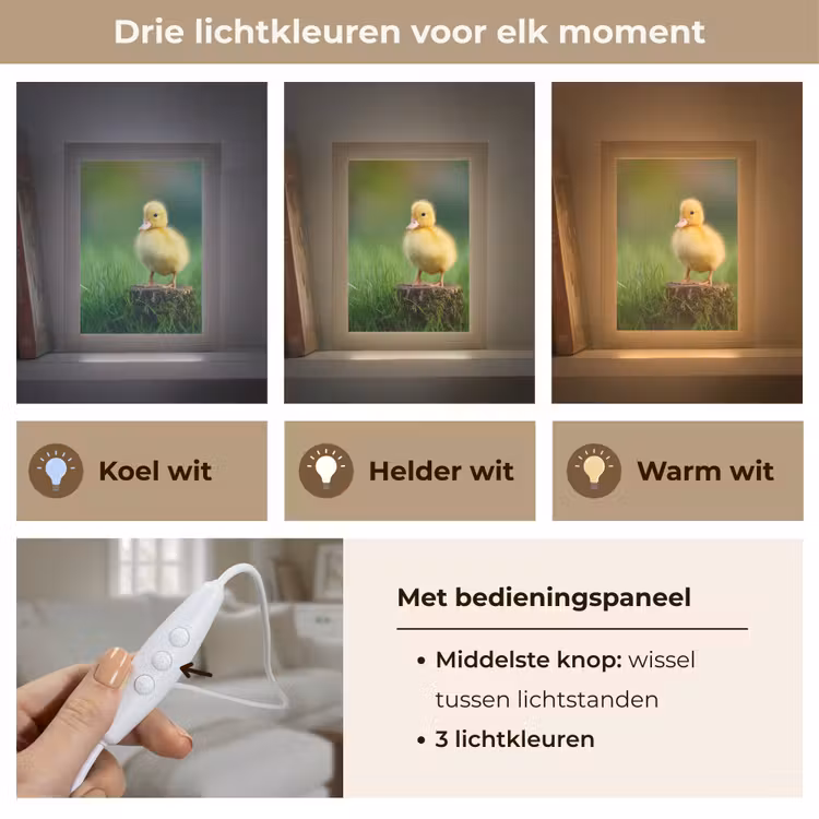 Kuiken - Eend - Geel - Gras Light Box met kabel (Tafellamp) klein -USP_lichtkleurNL
