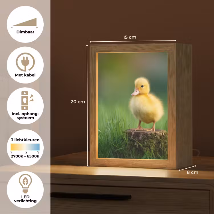 Kuiken - Eend - Geel - Gras Light Box met kabel (Tafellamp) klein -USP_NL