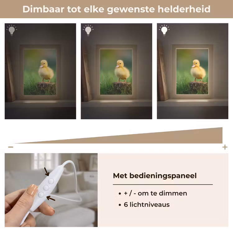 Kuiken - Eend - Geel - Gras Light Box met kabel (Tafellamp) klein -USP_dimbaarNL