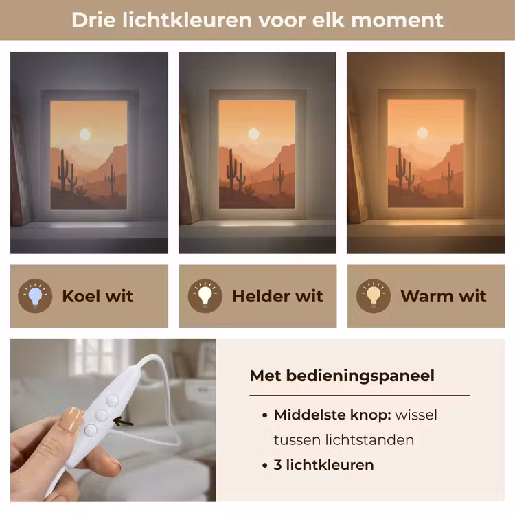 Landschap - Woestijn - Cactussen - Zon Light Box met kabel (Tafellamp) klein -USP_lichtkleurNL