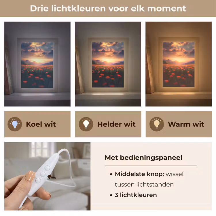 Landschap - Zonsondergang - Bloemenveld Light Box met kabel (Tafellamp) klein -USP_lichtkleurNL