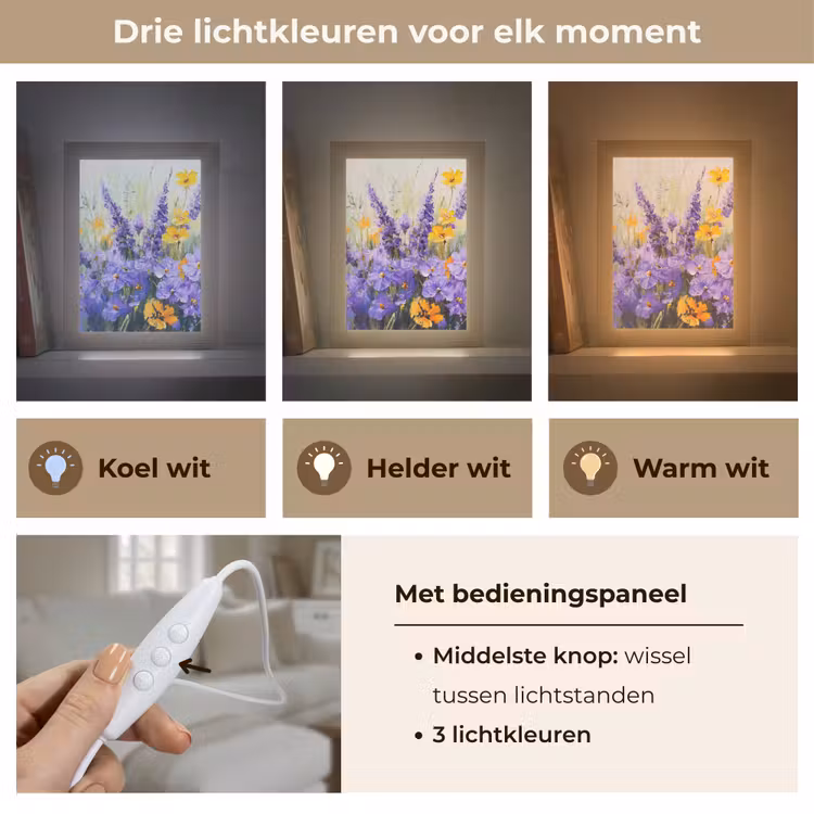 Lavendel - Bloemen - Natuur - Kunst Light Box met kabel (Tafellamp) klein -USP_lichtkleurNL